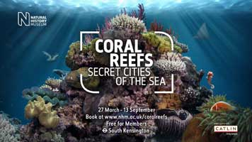 Coral Reefs 